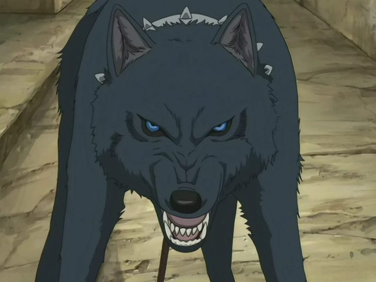 Best Human Wolf Hybrid Characters In Anime Hood Mwr