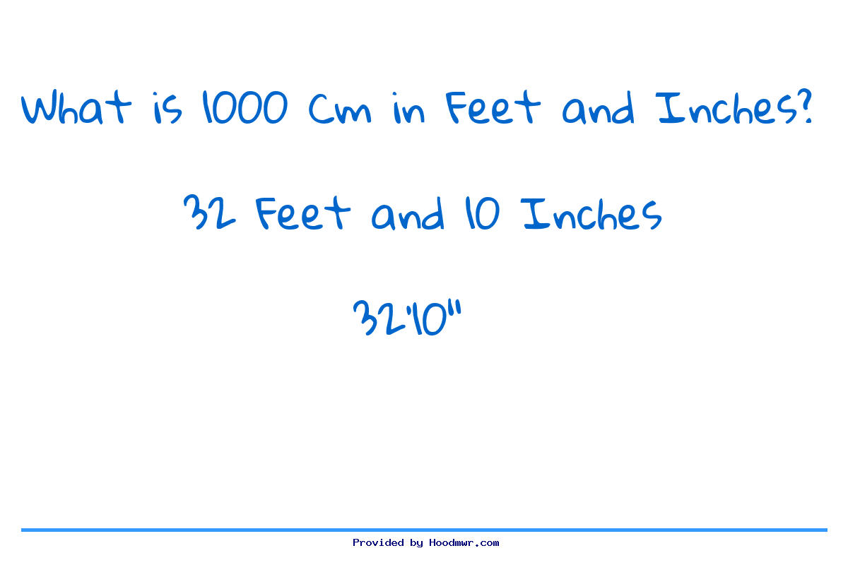 1000 cm 2025 in feet