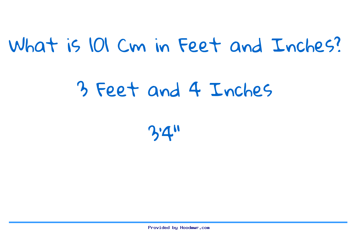 101 cm 2025 in feet