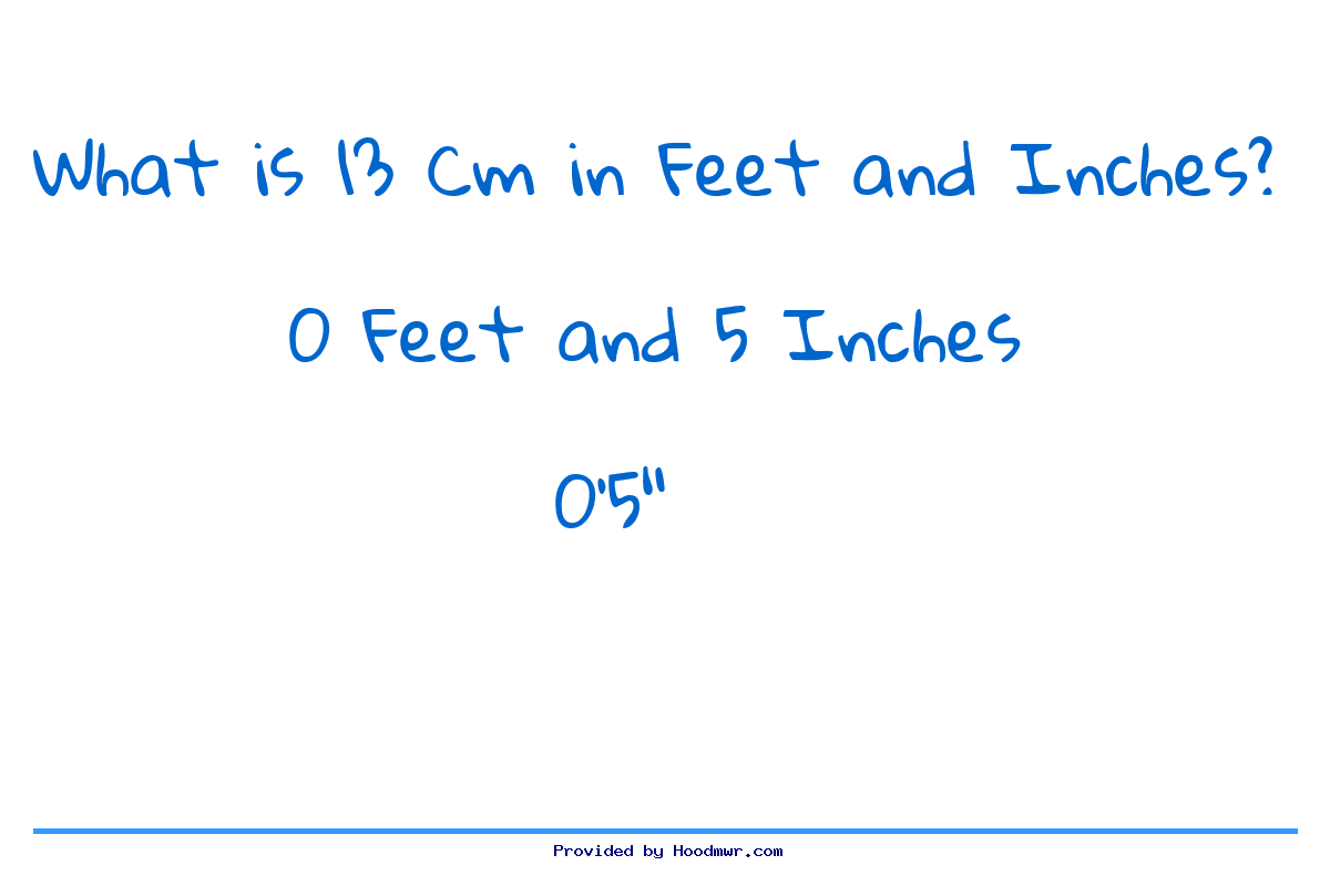 13 ft hotsell in cm