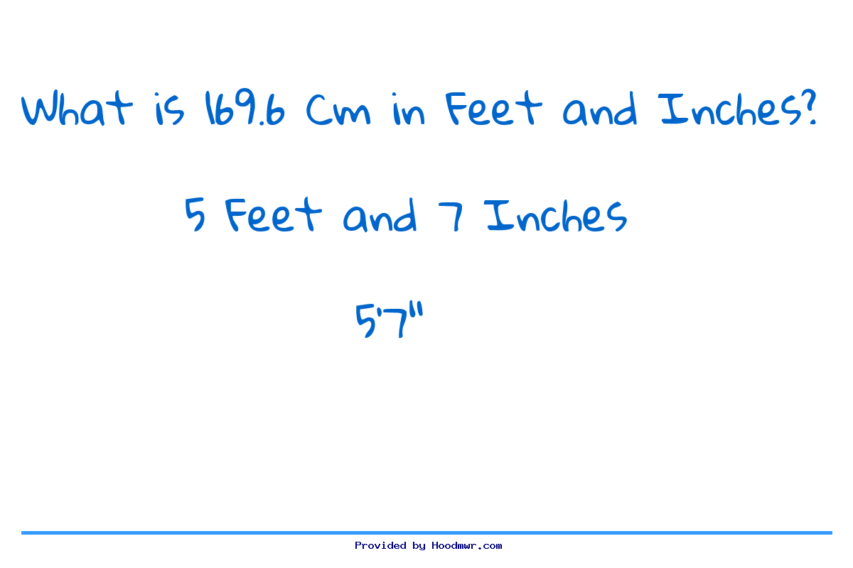 169.3 cm shop in feet