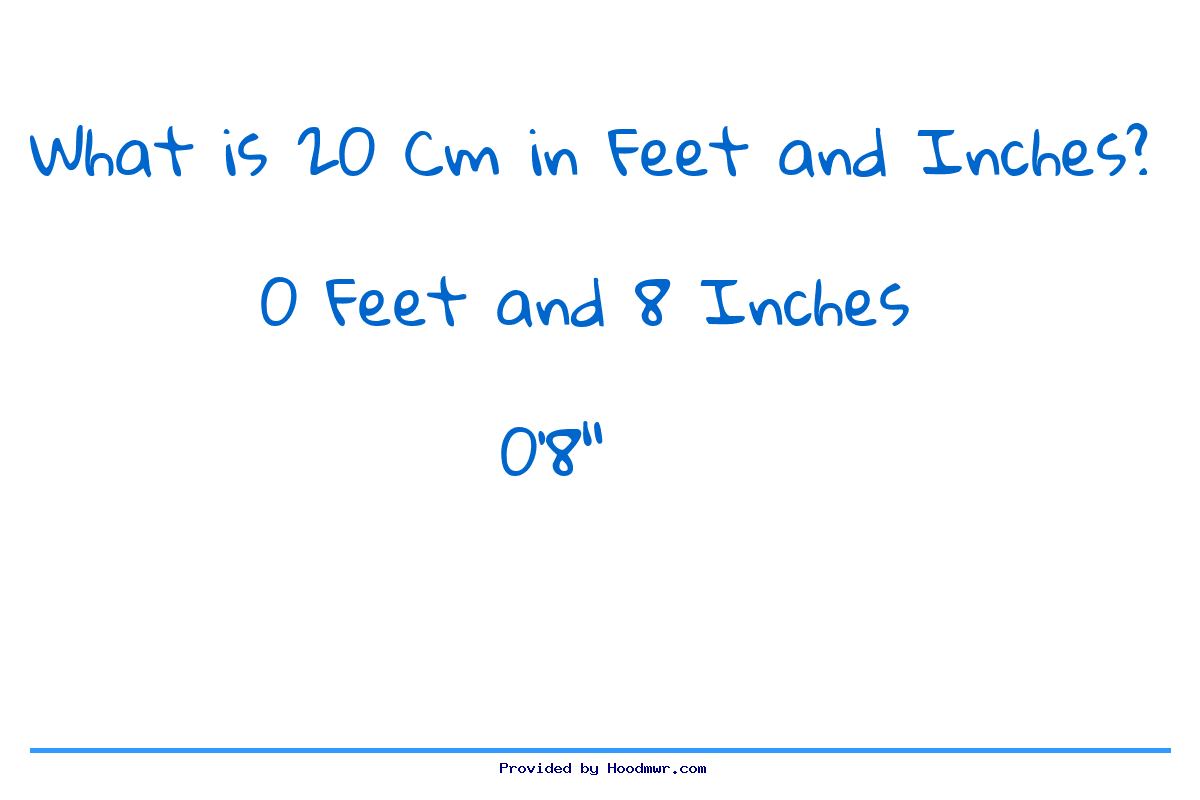 What is 20 CM in Feet and Inches