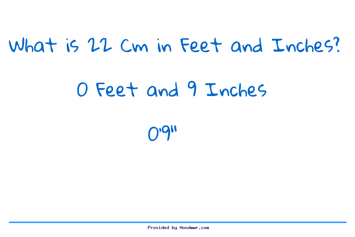 what-is-22-cm-in-feet-and-inches