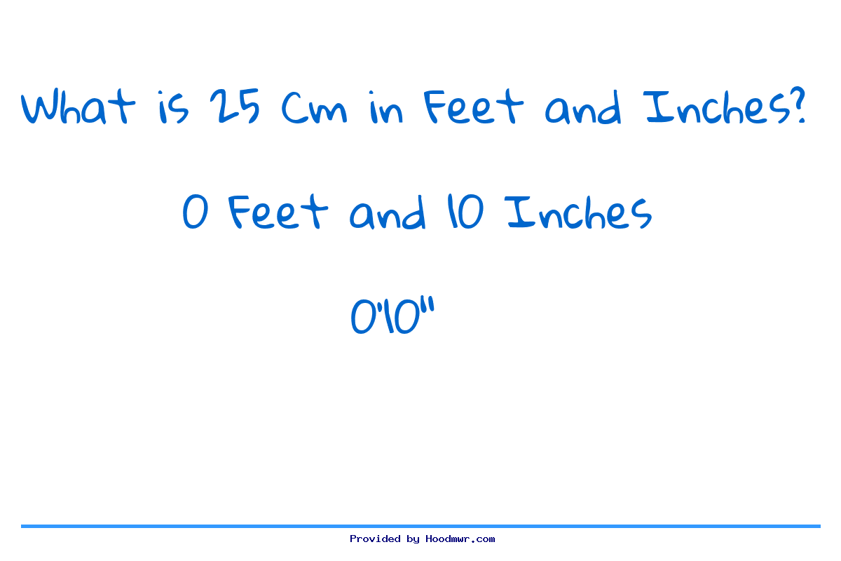 What Is 25 CM In Feet And Inches 