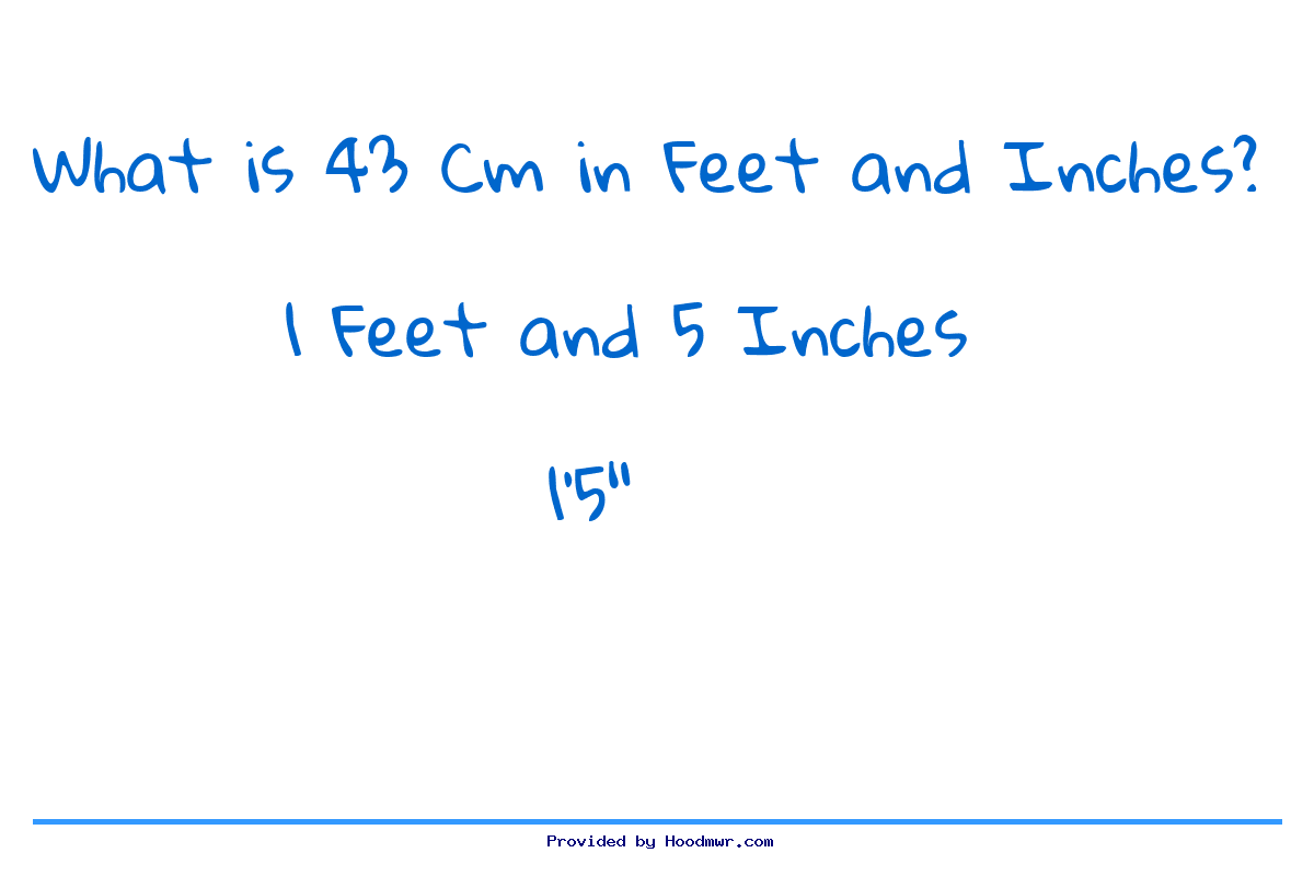 43 cm 2025 in feet