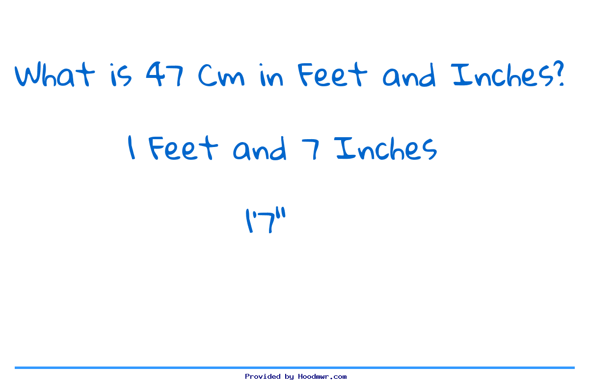 47 cm 2025 in feet