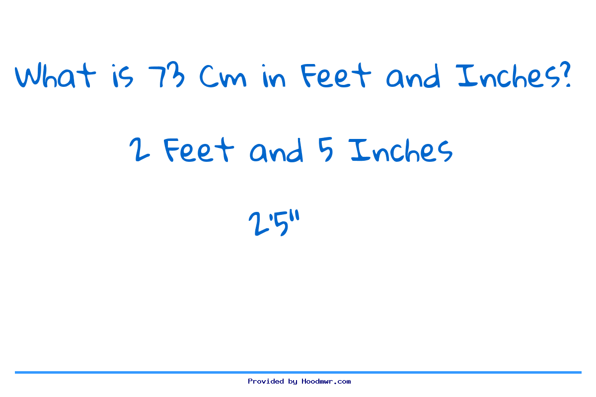 what-is-73-cm-in-feet-and-inches