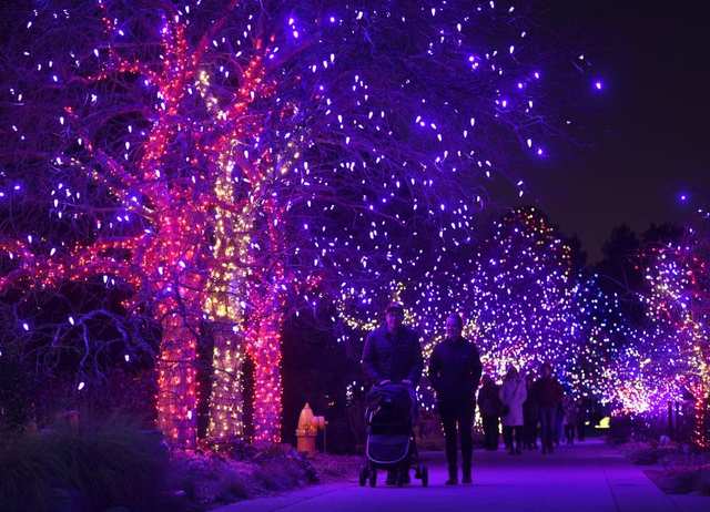 The 30 Christmas Light Displays In America - Hood Mwr