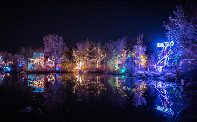 Top 30 Best Christmas Light Displays in America - HoodMWR