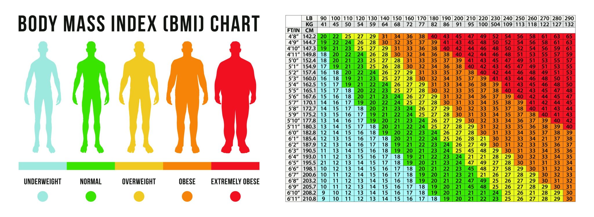 Ideal Weight for 5'3 Female & Male - Hood MWR