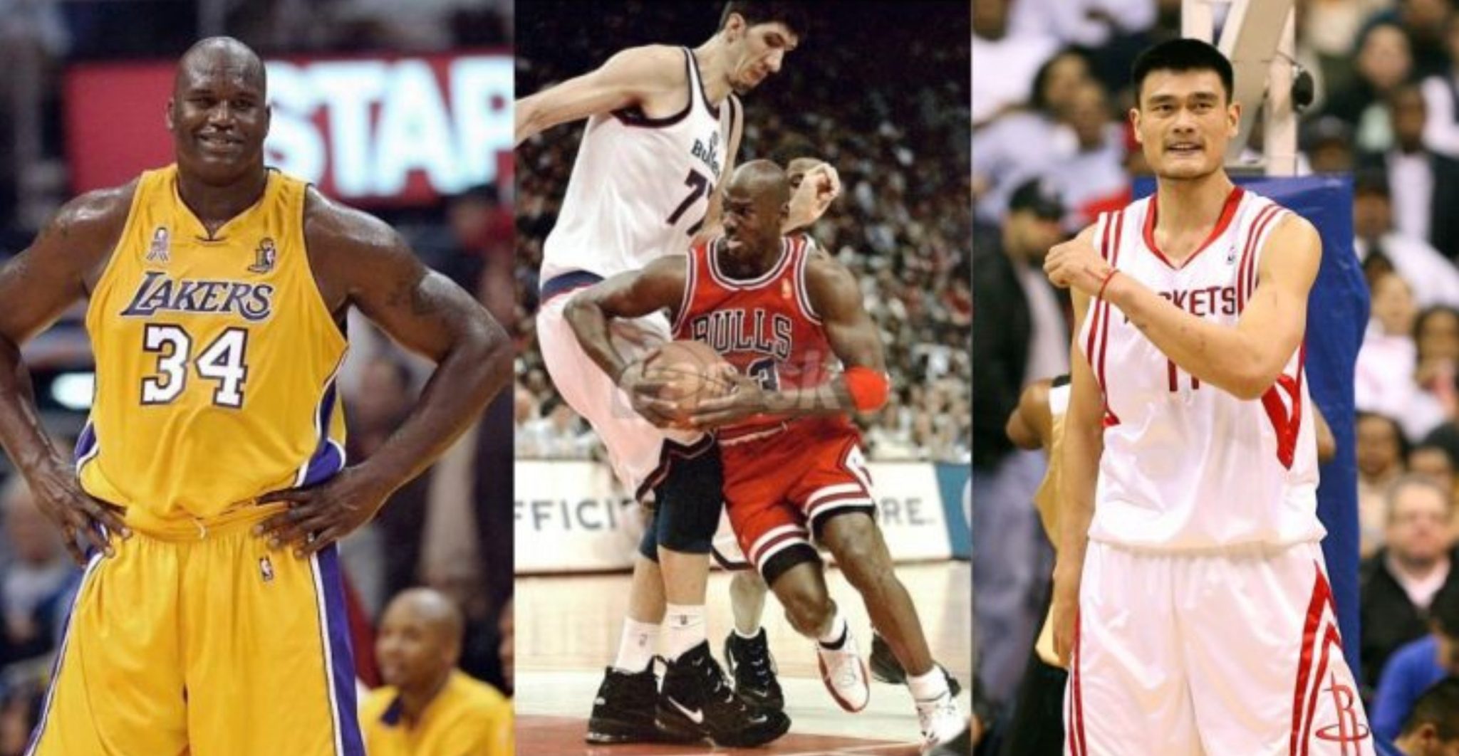 Yao Ming Height: How Tall Is The Chinese Professional Basketball Player ...