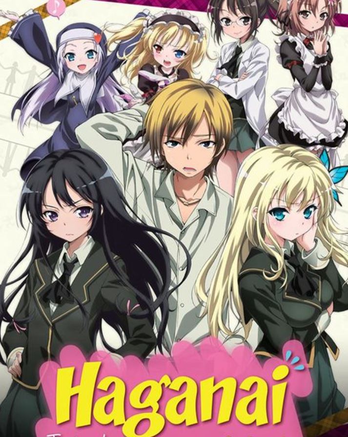 50 Most Popular Harem Anime of All Time - Hood MWR