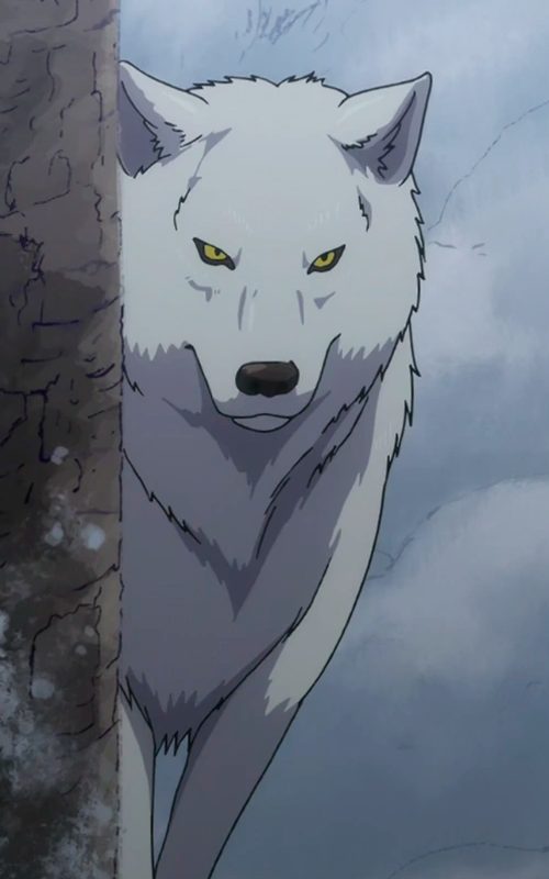 Soul White Wolf Rp  Wiki  Anime Amino
