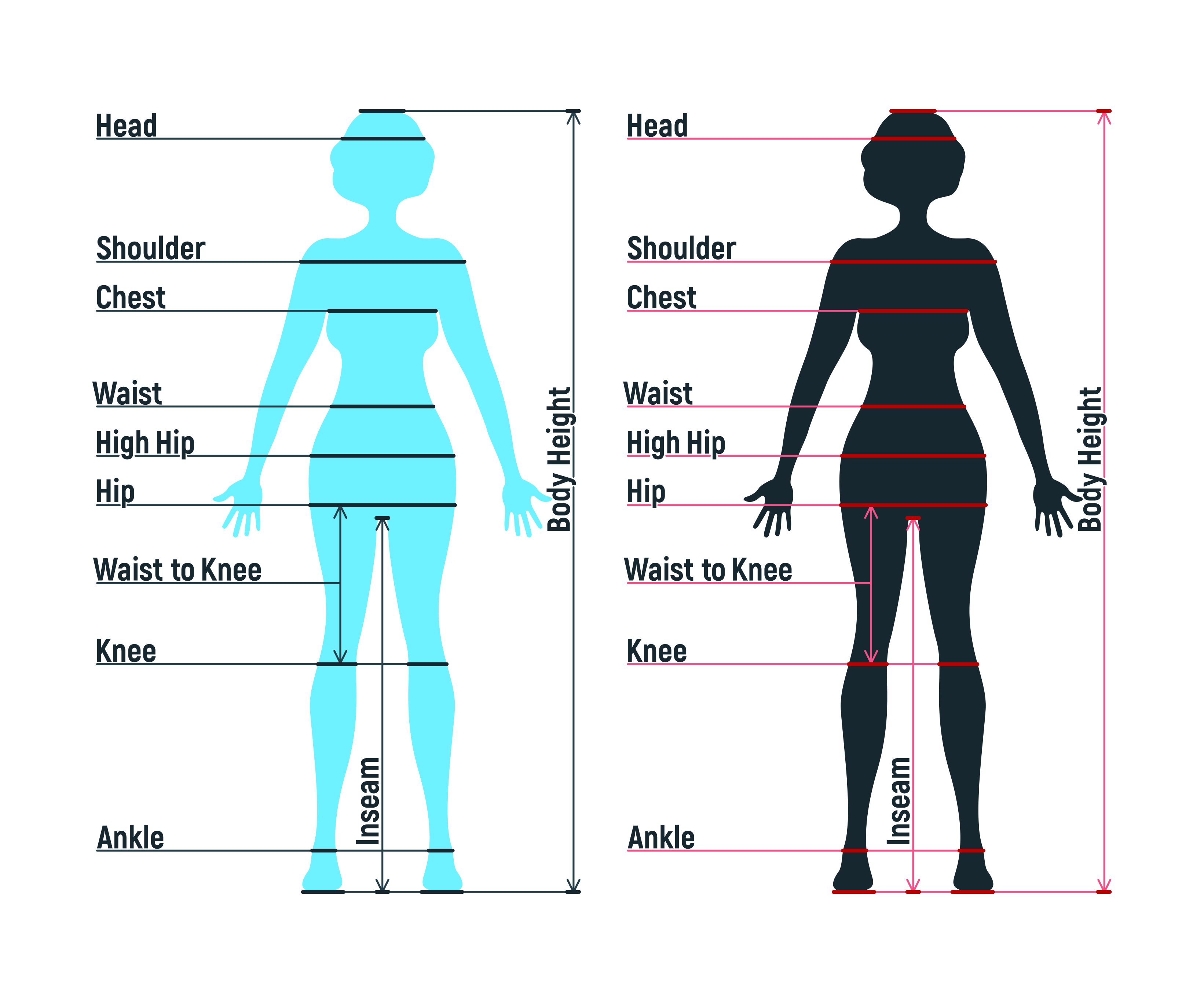 Body measurements. Ten body measurements for the cloth-skin