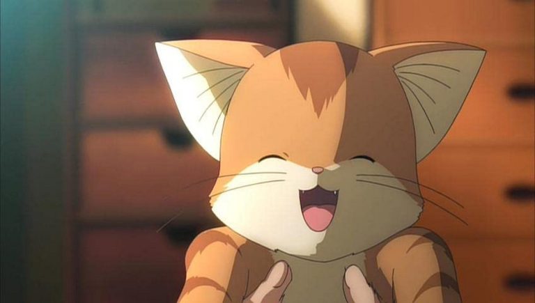 50 Most Popular Anime Cat Characters Of All Time Hood Mwr 1339