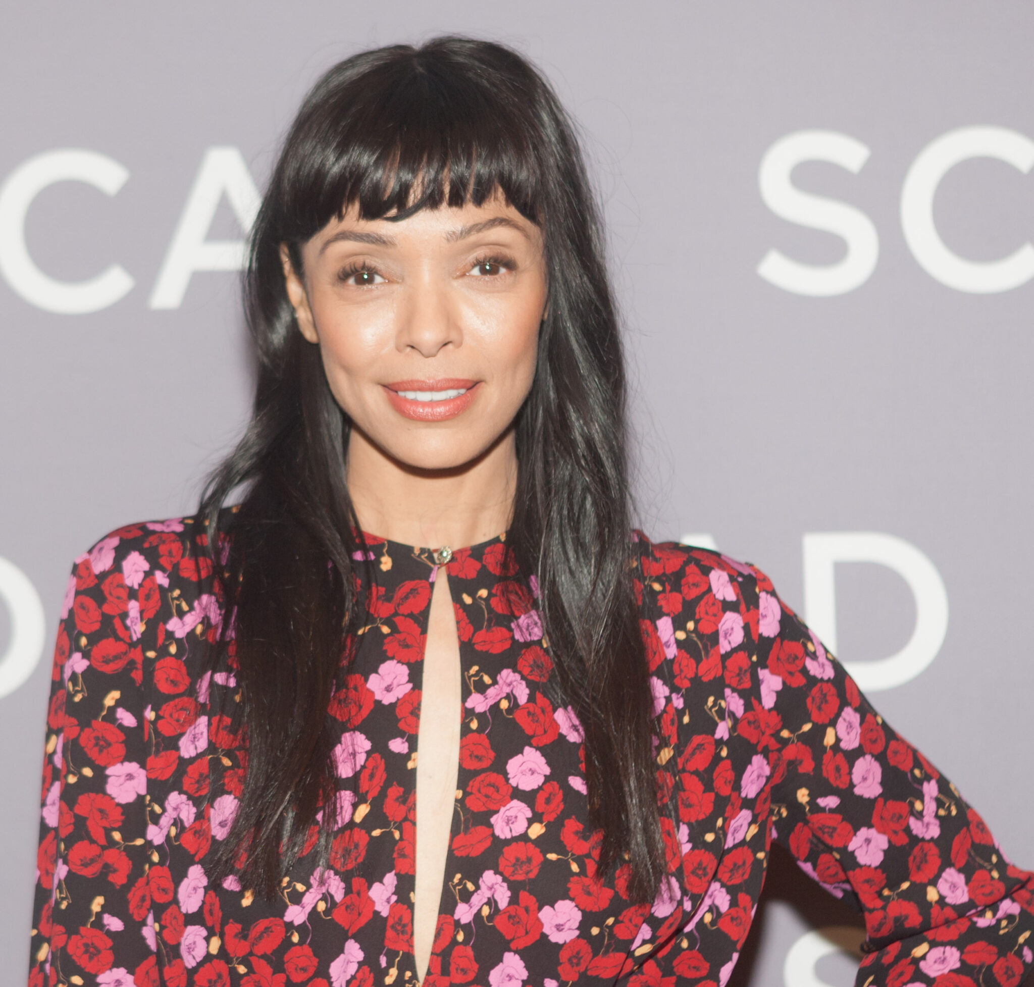 Tamara Taylor Photos