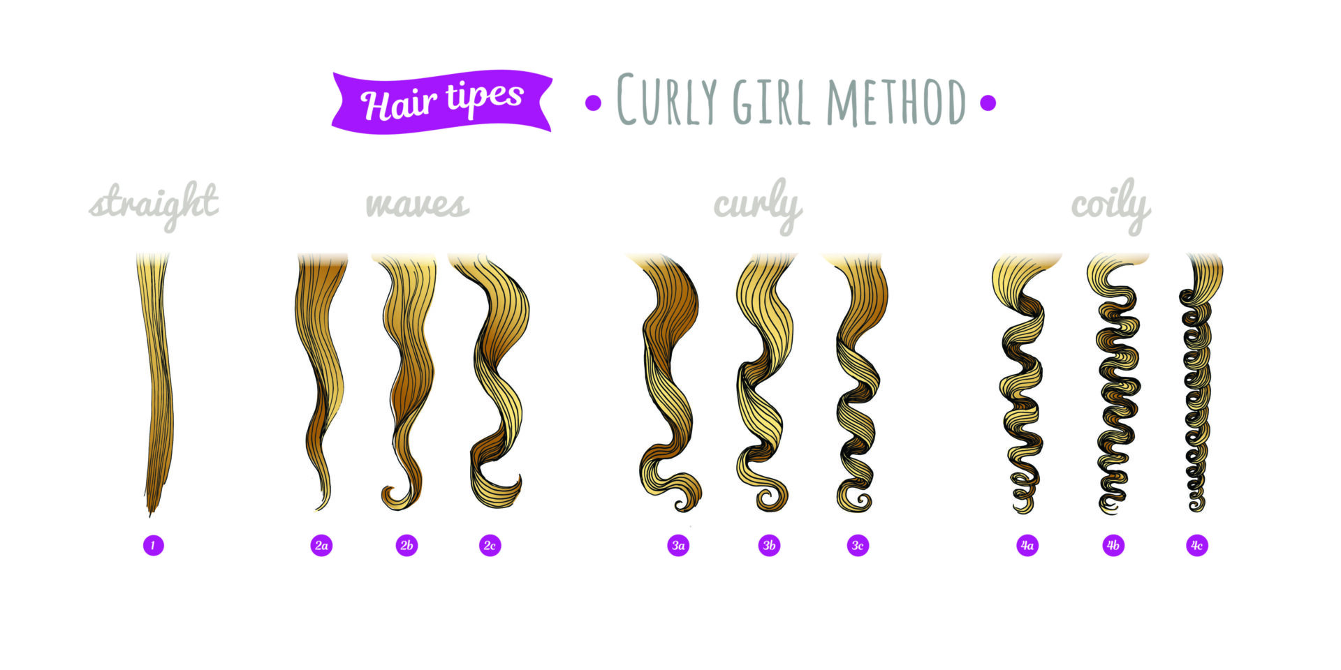 Understanding The Hair Types And Hair Typing Systems Hood Mwr